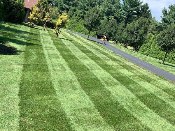 Quartmon's Landscaping