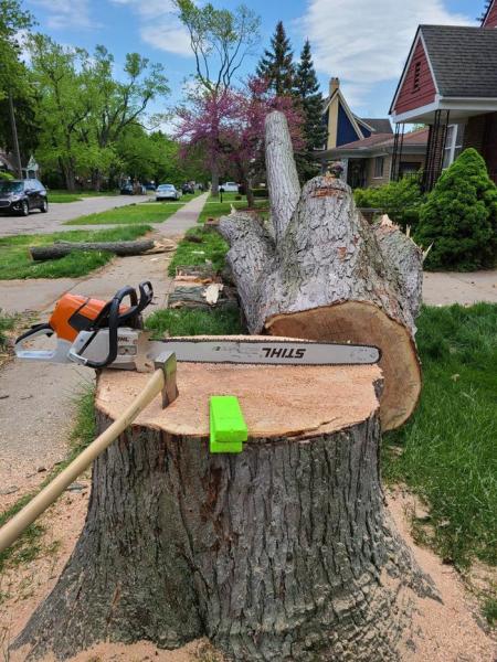 Steel Roots Tree Services