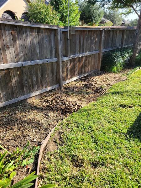Steel Roots Tree Services