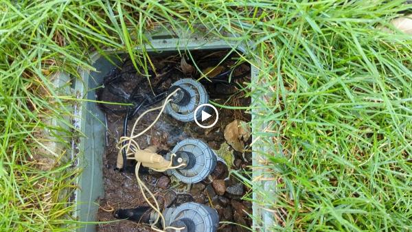 Nature's Carpet Lawn & Sprinkler