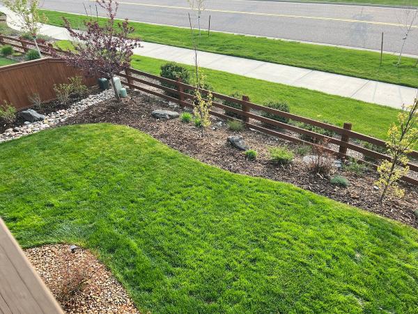 Nature's Carpet Lawn & Sprinkler