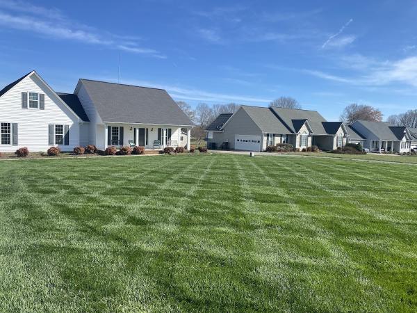 Creative Appearances Lawn Care