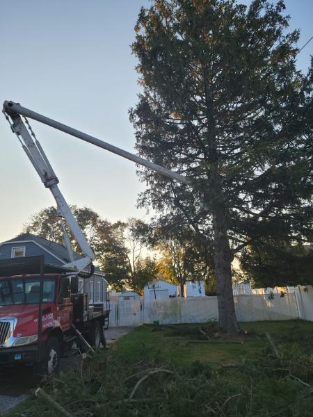 Joe's Complete Tree Service