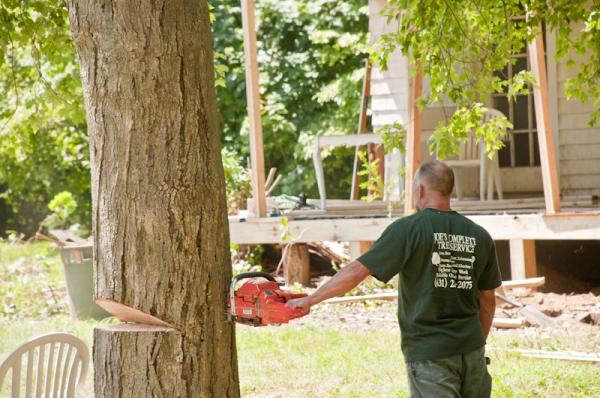 Joe's Complete Tree Service