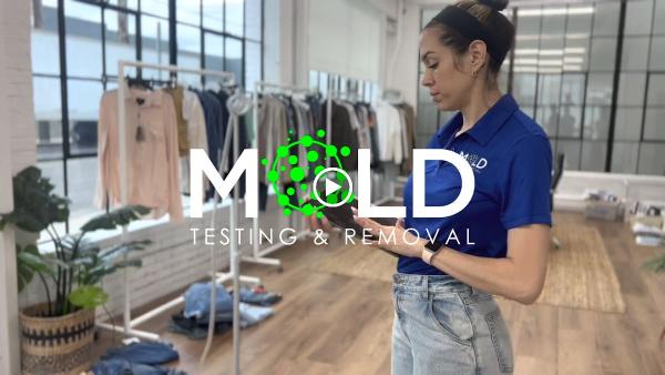 Mold Testing & Removal Services