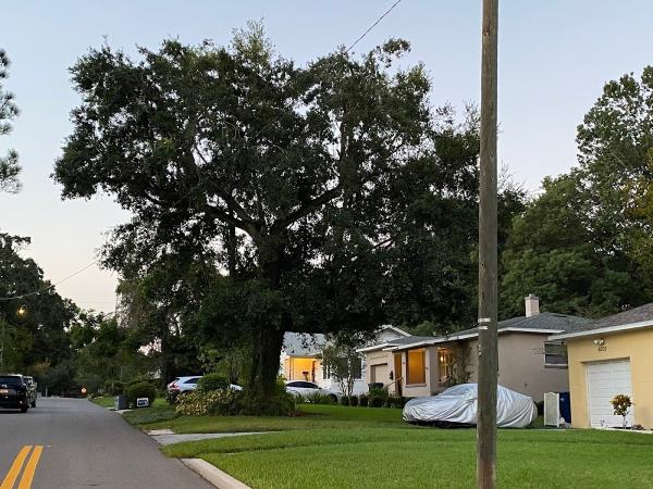Independent Tree Service