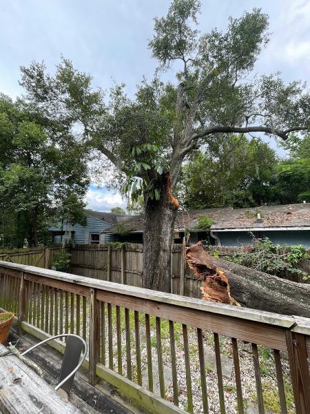 Independent Tree Service