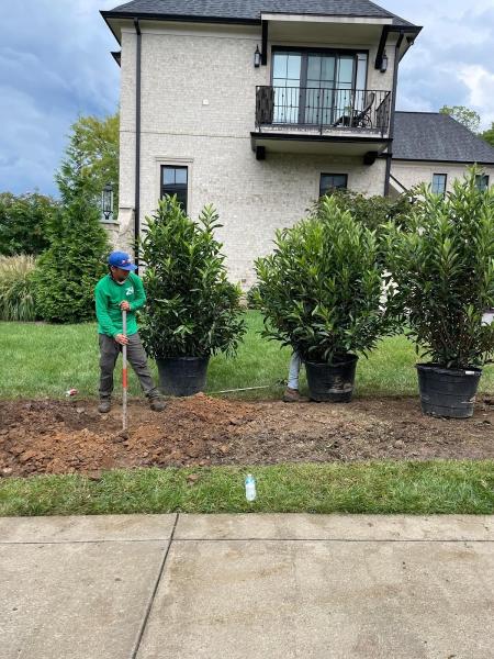 Complete Lawn Care LLC