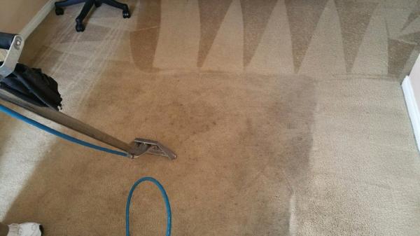 Rite Hand Carpet Cleaning Service Inc