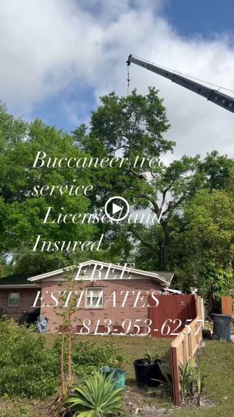 Buccaneer Tree Service