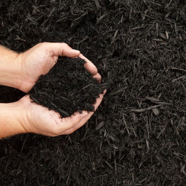 Detroit Mulch