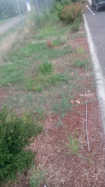 Greenworks Landcare