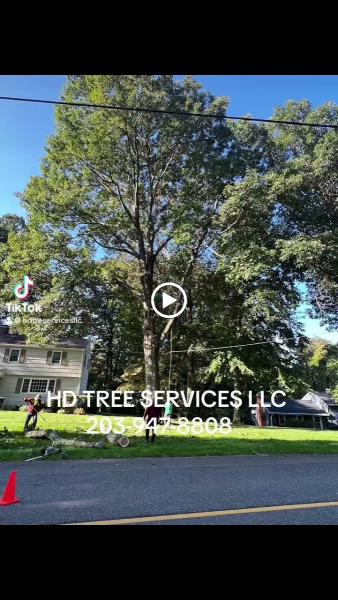HD Tree Services and Landscaping Llc