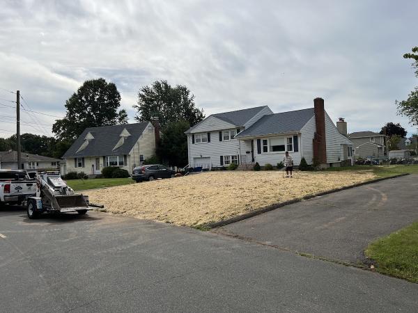 HD Tree Services and Landscaping Llc