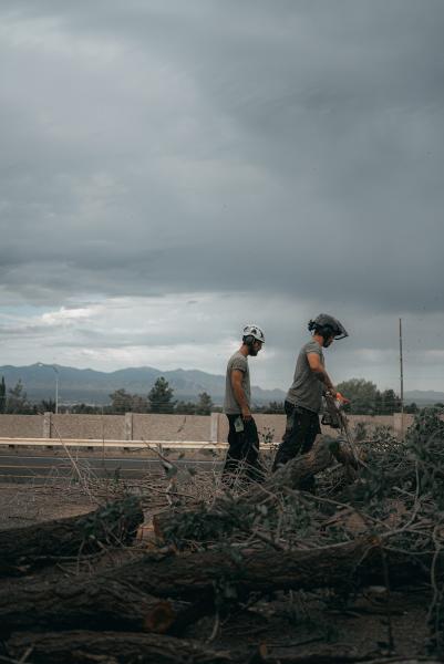 Utah Tree Co