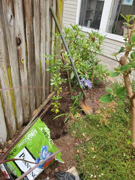Lorenzo's Landscaping & Gardening