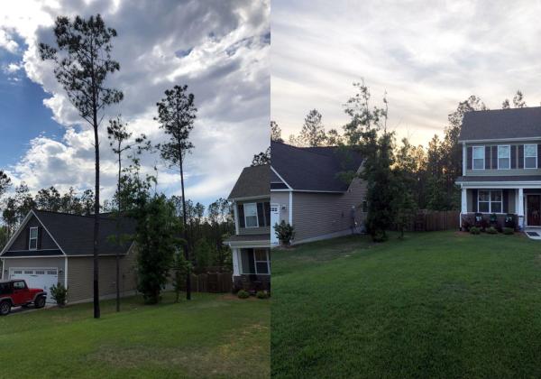 Campbell's Tree Service
