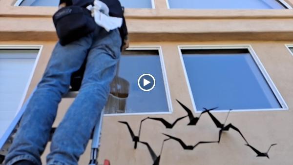 Strategy Window Cleaning