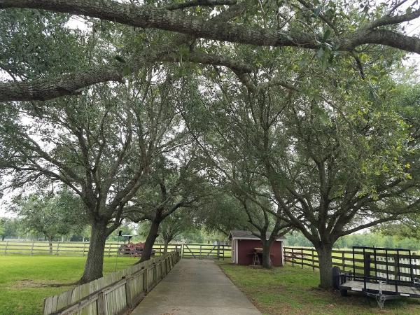 Cut N' Edge Trees LLC