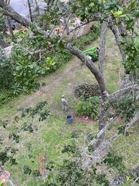 Warner Tree Service