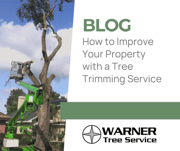 Warner Tree Service