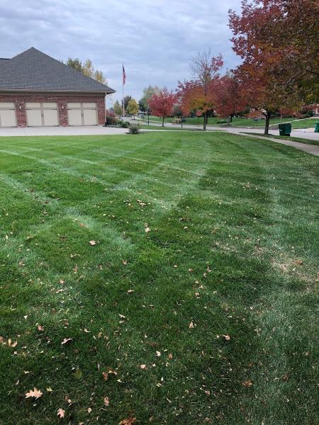 Maloney's Lawn Service