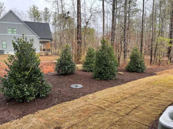 North Georgia Lawn Experts