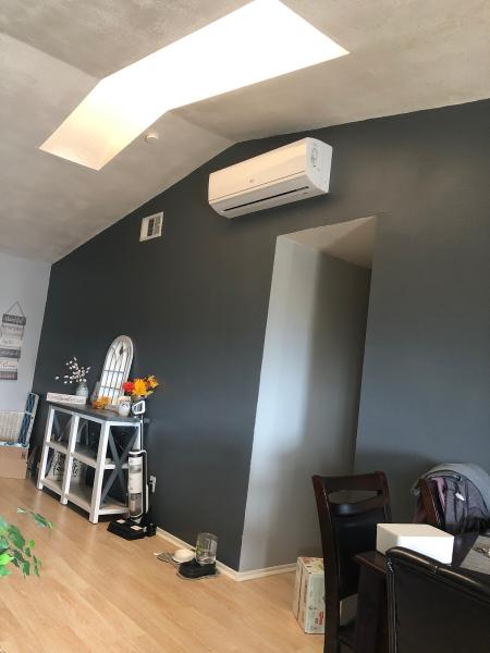 Professional Air Conditioning Technician