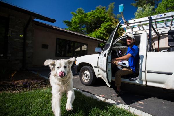 Sunshine Window Cleaning