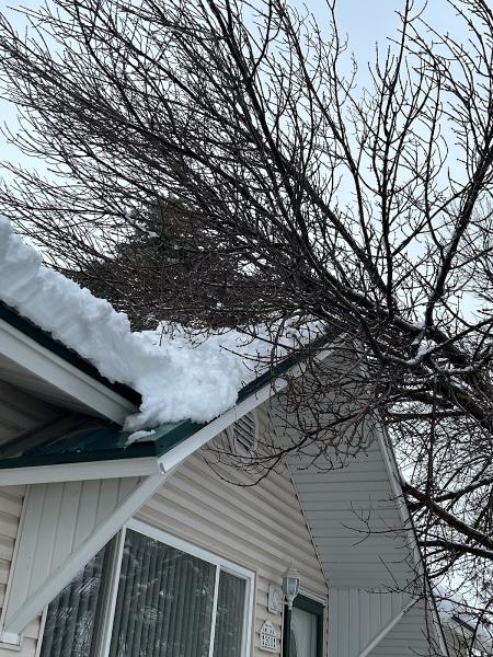 R & J Tree Services LLC