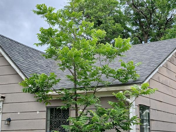 Trucost Home Services