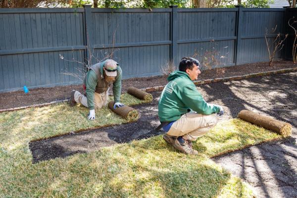 City & Estate Gardener Lawn Care & Landscape Maintenance