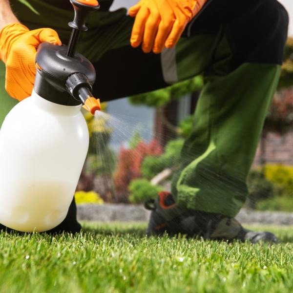 Summit Lawn Fertilization & Pest Control