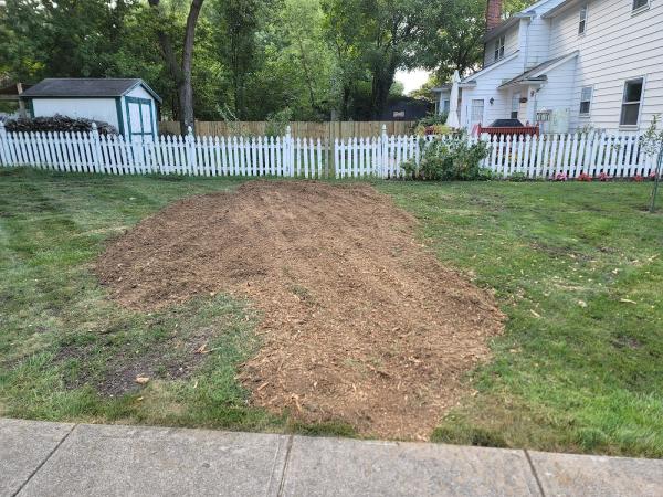 ALL City Stump Grinding