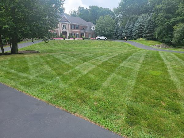O'Donnell Landscapes