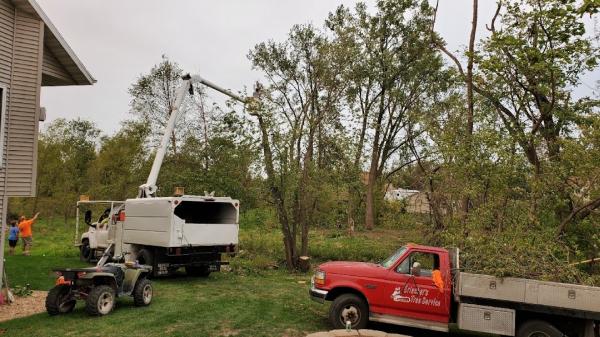 Erlacher's Tree Service.