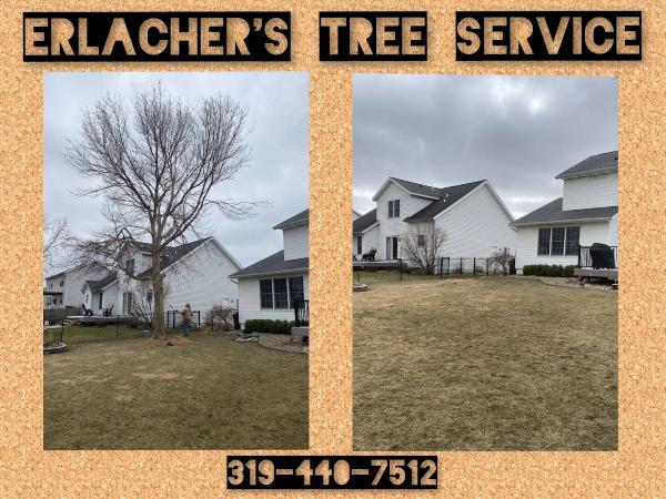 Erlacher's Tree Service.