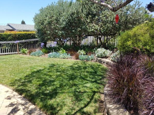 Zac Gonzalez Landscaping