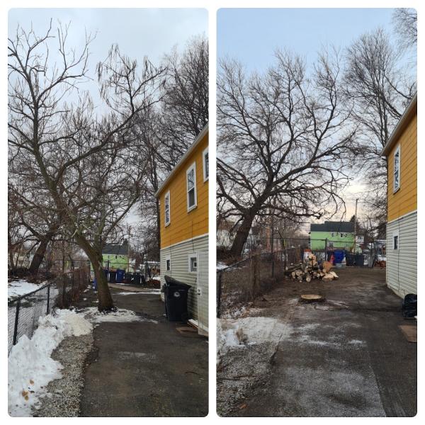 Happy Trunk Tree Service
