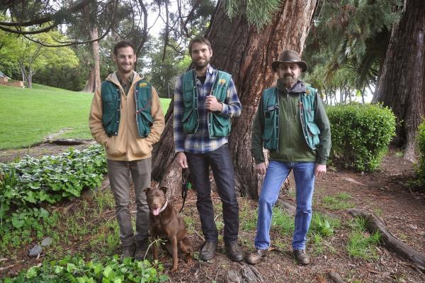 Urban Forestry Associates