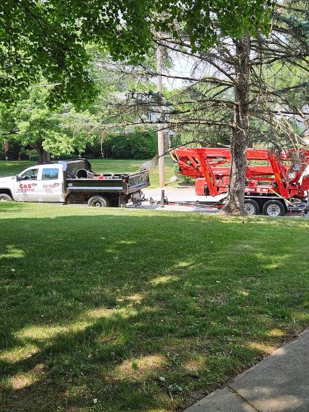 C&S Tree Service LLC