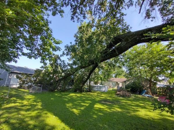 C&S Tree Service LLC