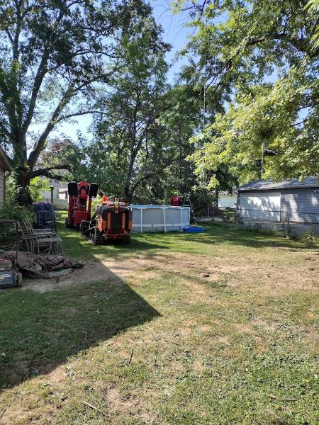 C&S Tree Service LLC
