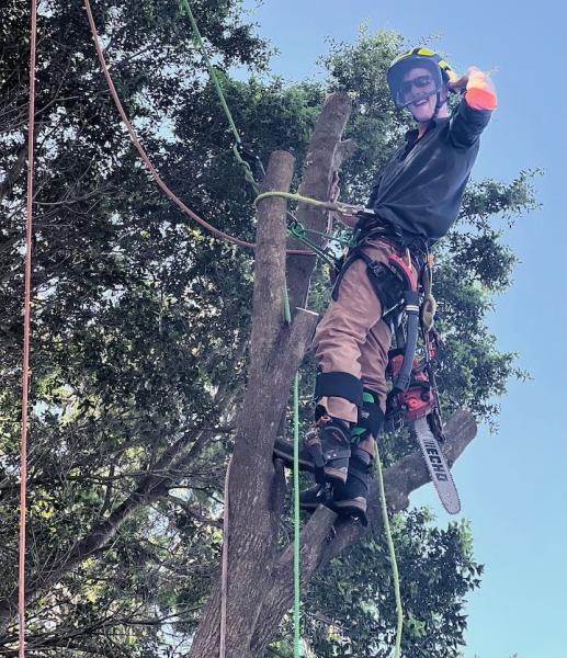 Longview Tree Care
