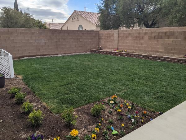 Delfino Maintenance & Landscaping Inc.