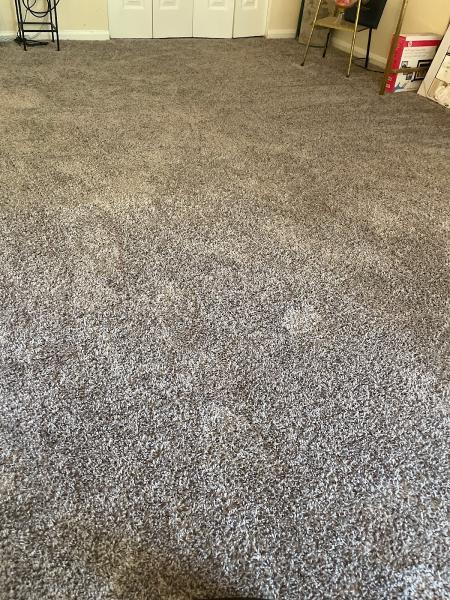 Hippo Carpet Cleaning