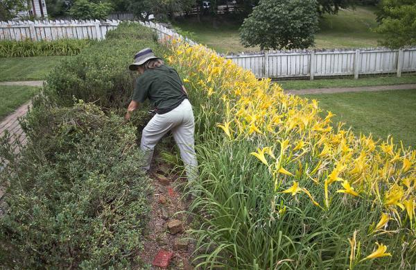 Santa Rosa Landscaping