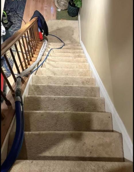Optic Cleaning Carpet and Upholstery