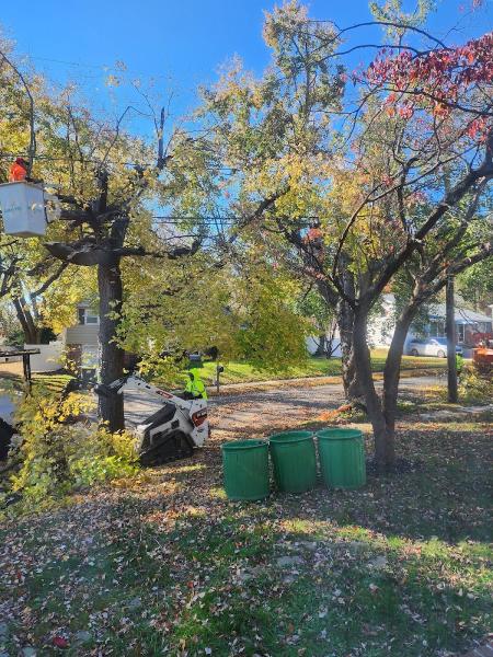 Golden Tree Service LLC