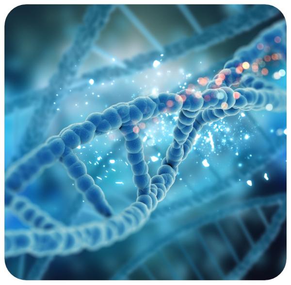 Bioteknica